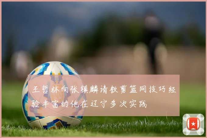 王哲林向张镇麟请教剪篮网技巧经验丰富的他在辽宁多次实践