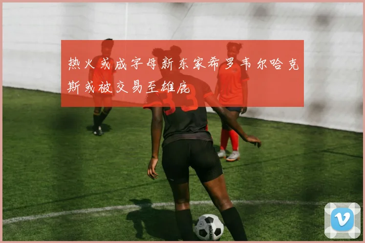 热火或成字母新东家希罗韦尔哈克斯或被交易至雄鹿