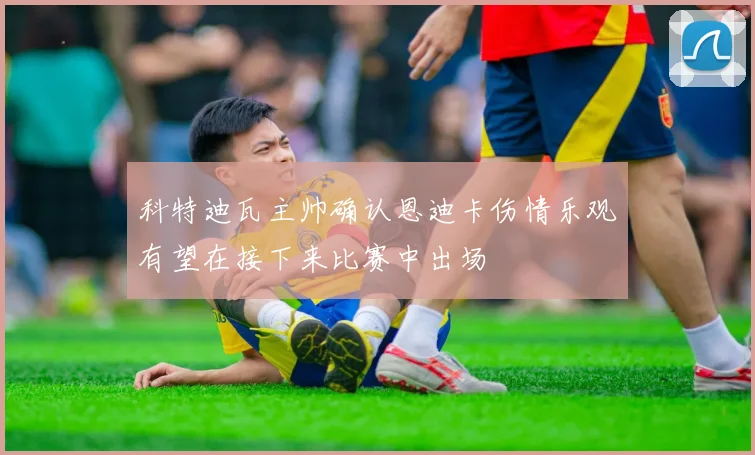 科特迪瓦主帅确认恩迪卡伤情乐观有望在接下来比赛中出场